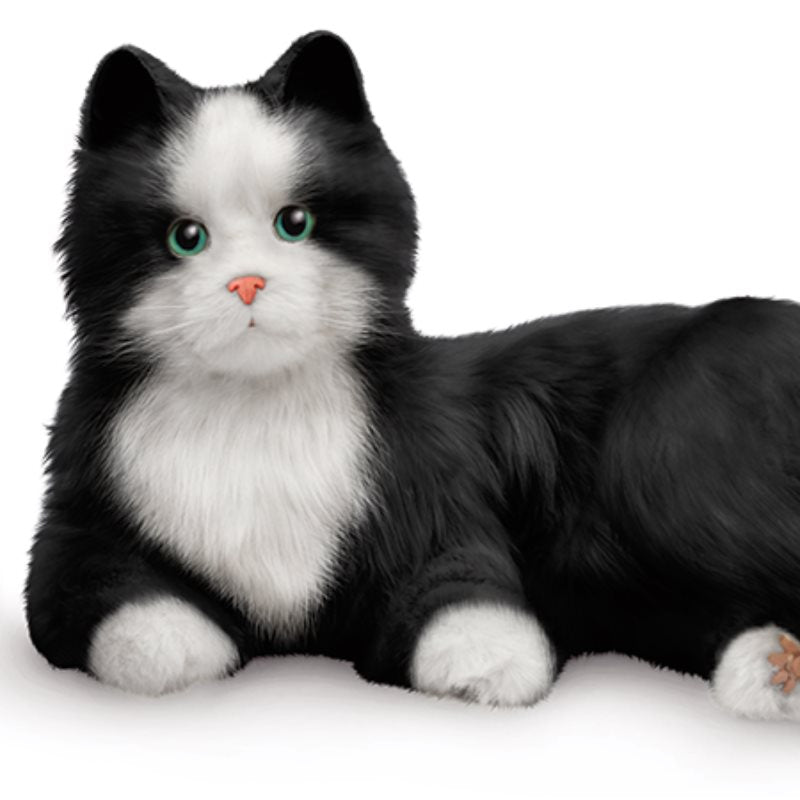 COMPANION PET CAT